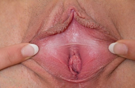 petite chatte haute qualité parfait img