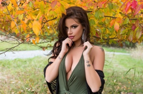 Shelly Lee free pornstar pics