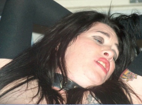 morena bbw adulto perfecto recopilación