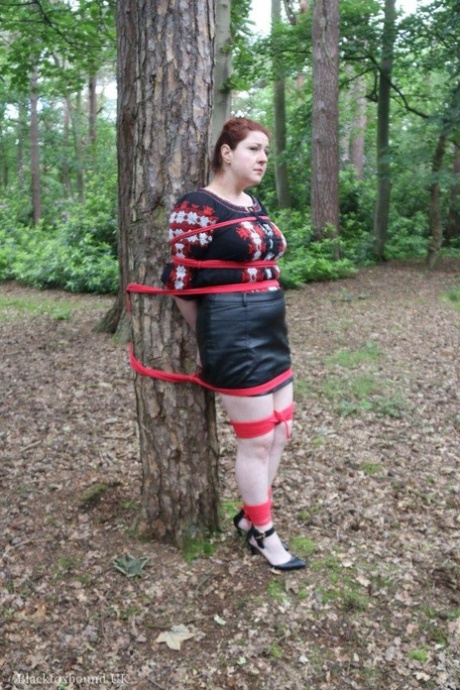 BBW bdsm desnudo superior imágenes