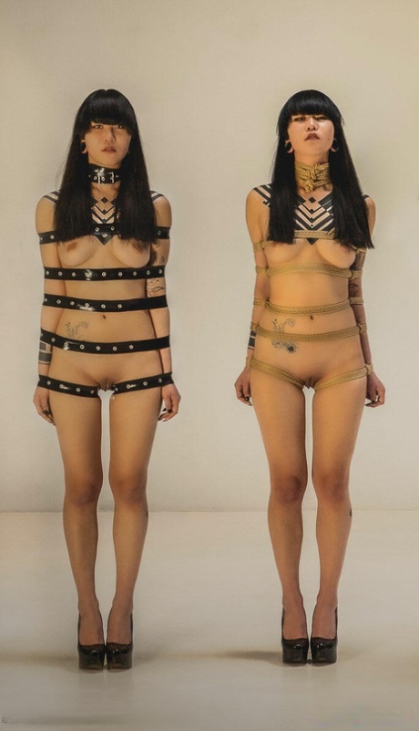 asiatisk bdsm fine hete samling