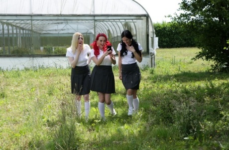 britische CFNM hübsche porno bilder