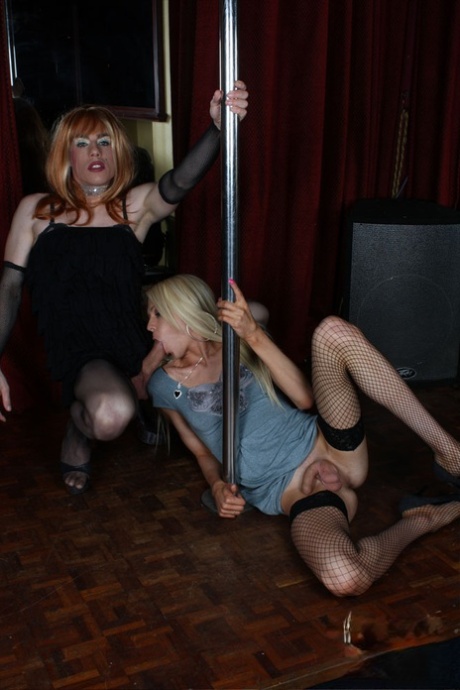 travestiet vrij hoge kwaliteit afbeelding
