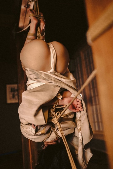 asiatisk bondage høy kvalitet gratis bilder