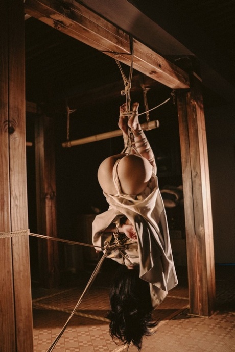asian bdsm free galleries