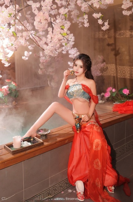 see through lingerie sexy picture