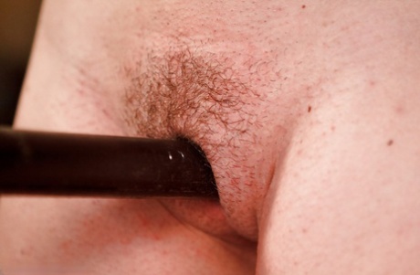 bdsm peloso porno artistico immagine