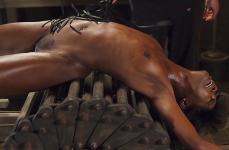 schwarzes BDSM perfekte nacktheit bild
