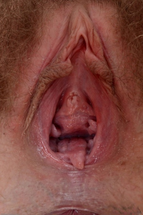 harige kut gespreid pornografische hd galerijen