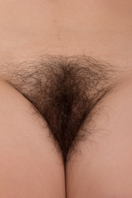 holandés mejor desnudo archivo
