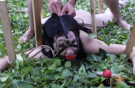 屋外BDSM アートヌード 画像