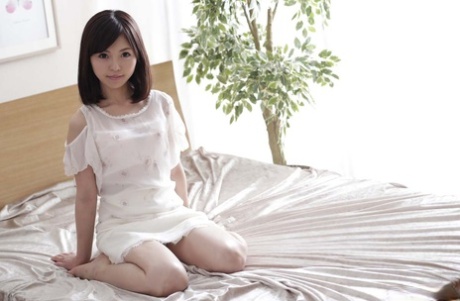 liten japansk topp kunst foton