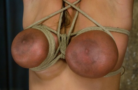 cycki bdsm pornografia seksualna kolekcja