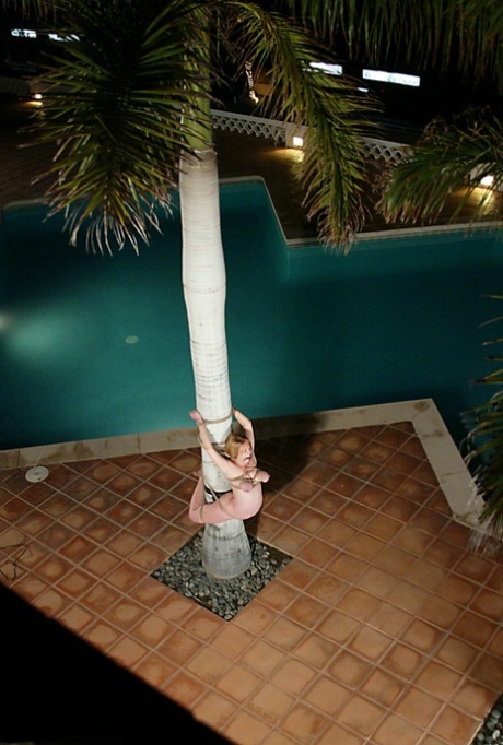 lezdom free nude picture