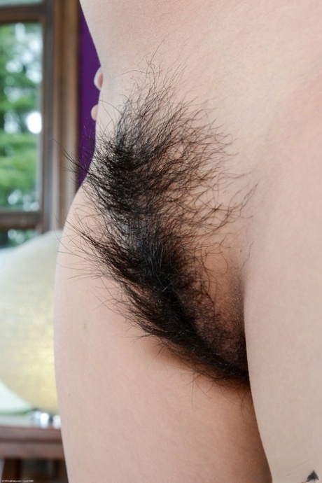 kerstman pornografisch leuk afb