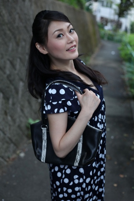 asiatisk trekant ret varmt kollektion