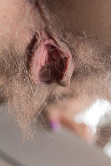 hairy erotica sex galleries