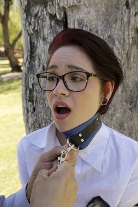 collar porno images