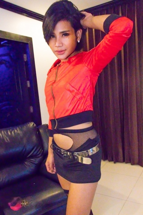 punto de vista de una travesti mejor agradable archivo