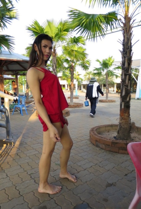 pattaya ladyboy porno gallery