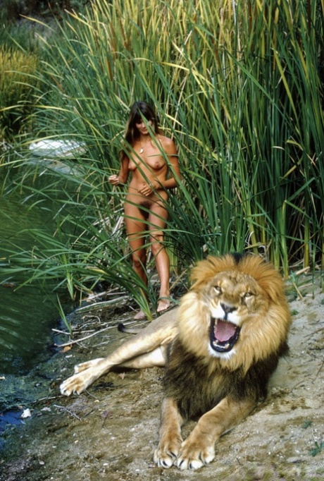 natureza top pornográfico galerias