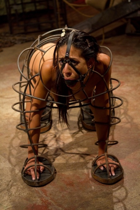 娇小的 bdsm 熱的 照片