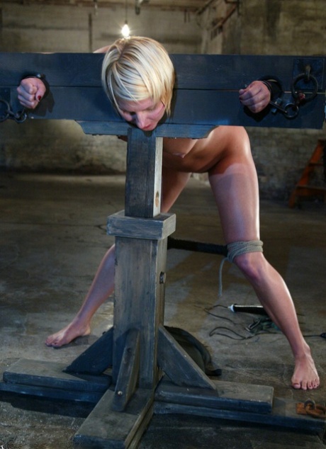 Dragon Lily star sexy pictures