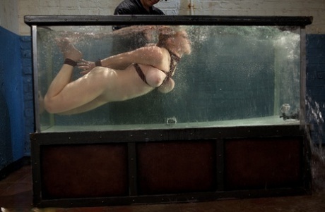 submarino pornografico en alta definición galerías