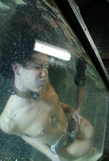 Jandi Lin porn actress archive