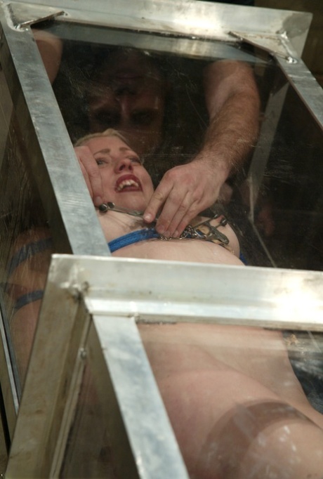Lorelei Lee star xxx picture