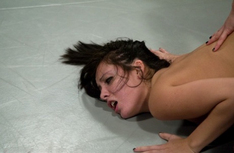 Syd Blakovich porn star images