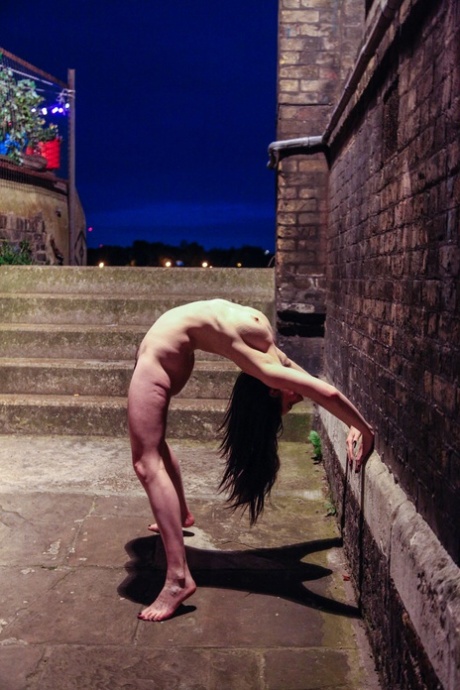 Samantha Bentley pornstar art picture