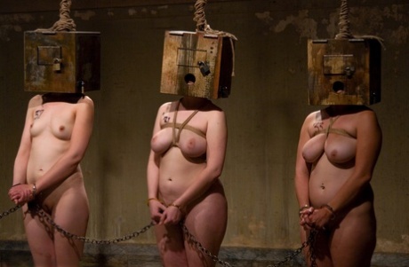 křivky bdsm erotický obr