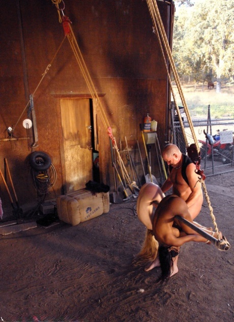svart bdsm hd vuxen foton