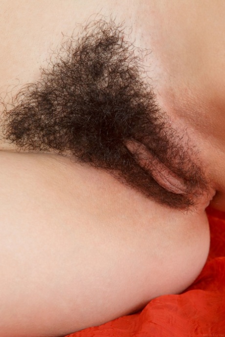 hairy babe porn picture