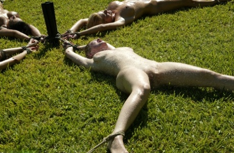 openbare bdsm mooi verzameling