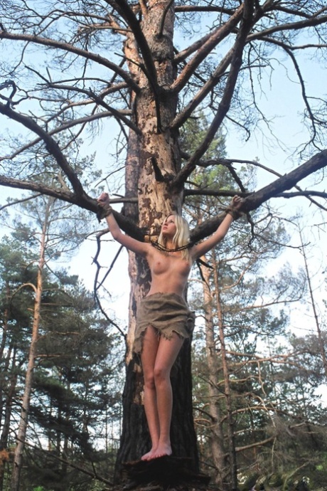 udendørs bdsm xxx dejligt galleri