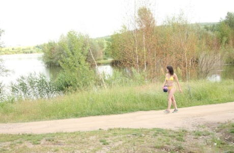 bosque exclusivo agradable foto
