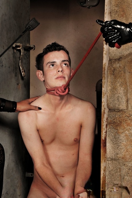 shemale bdsm art naked gallery