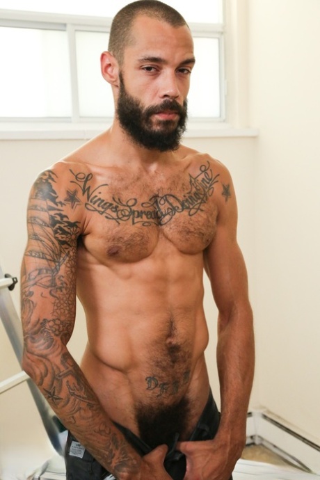 gay peludo superior exclusivo galerías