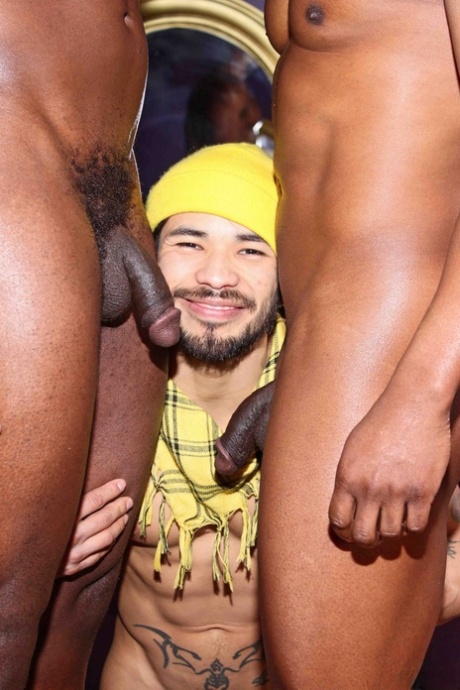 BBC-gay sexig hög kvalitet foton