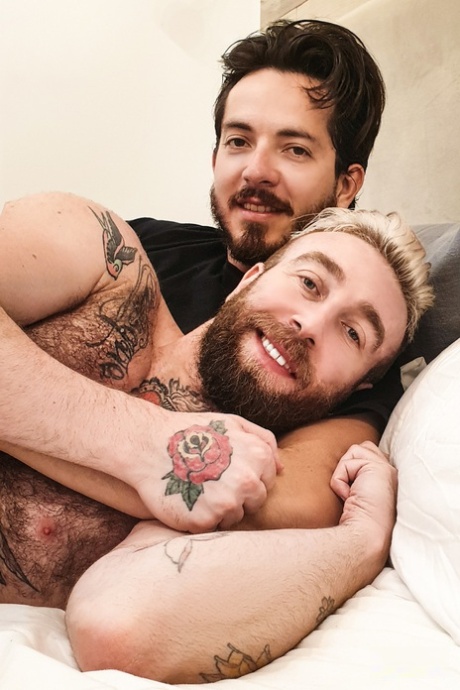 gozada gay bonito grátis imagem
