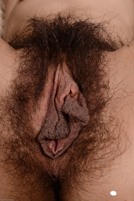 Andy Moon star nudes images