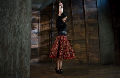 Sybil Hawthorne model free picture