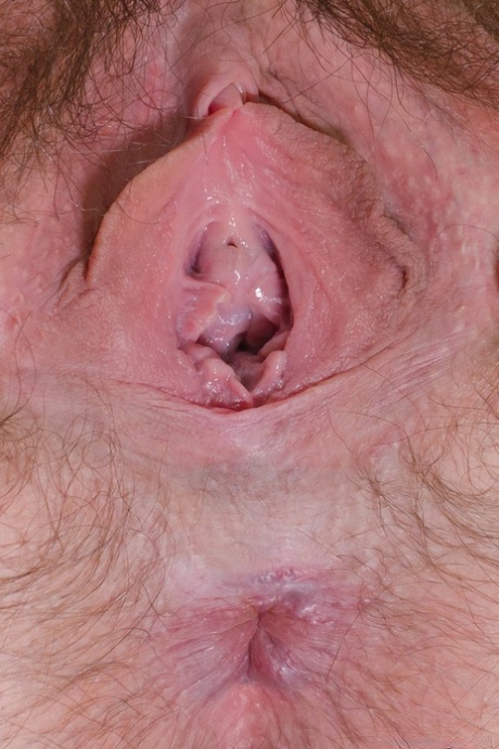 årgang behåret xxx nøgenbilleder fotos