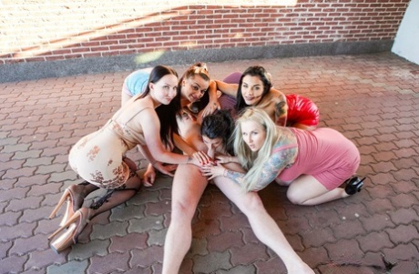 cfnm group pretty image