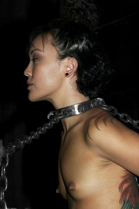 娇小的 bdsm 色情 檔案