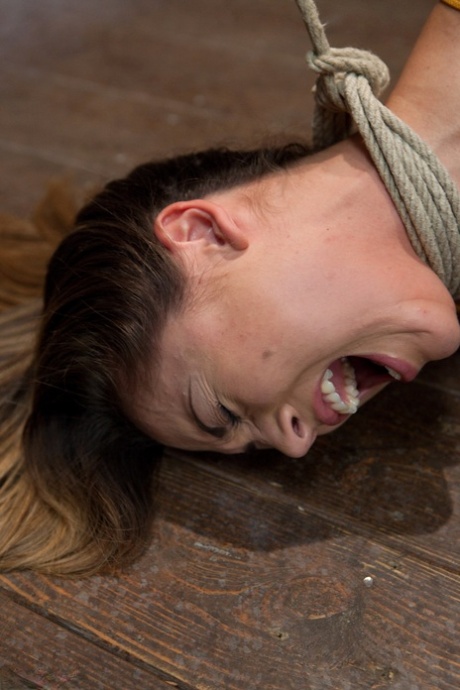 amateur bdsm best img