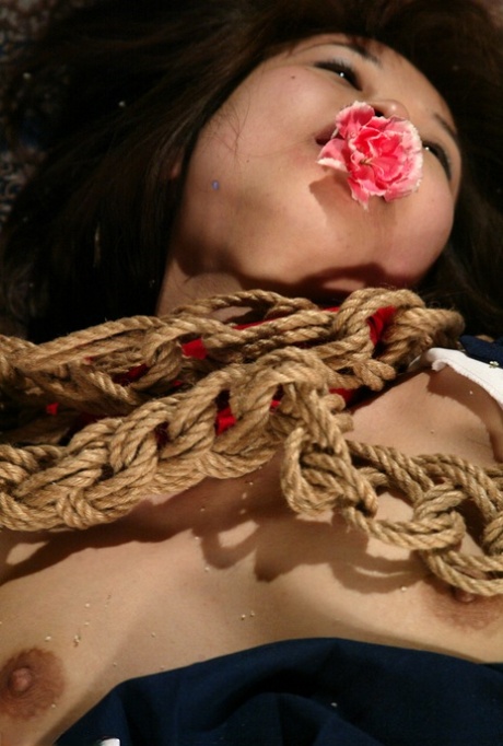 japansk bdsm pen pornografi foto