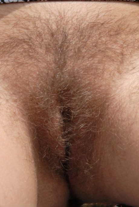 chlupatý zblízka sexy pěkné obr